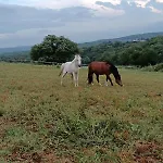 Grand Espace 140m2 Dans Ferme Familiale Holiday home Laguian-Mazous