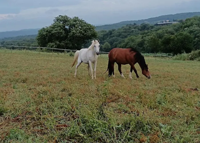 Grand Espace 140m2 Dans Ferme Familiale Holiday home Laguian-Mazous